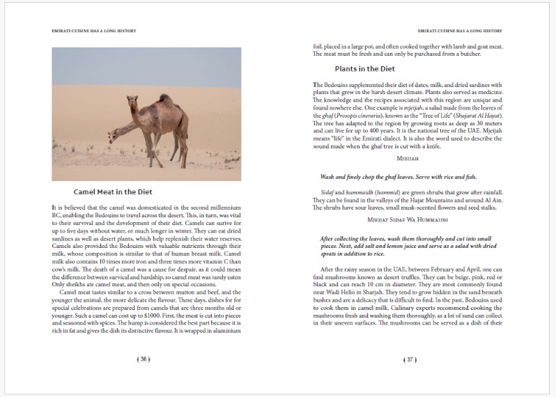 Skład wnętrza i projekt okładki książki The Secret Cuisine of the Emirates do Amazon KDP